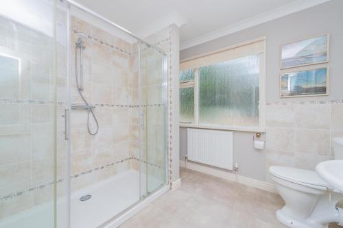a bathroom with a shower and a toilet and a sink at Pear Tree Cottage in Shrewsbury