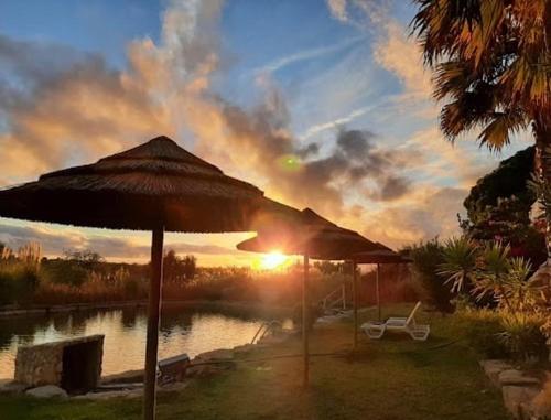 Afbeelding uit fotogalerij van Oasis Camp Portugal in Lagoa