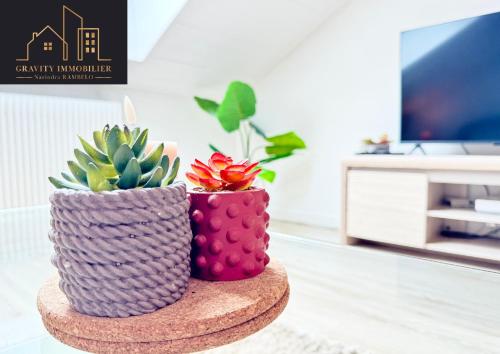 MarignierにあるLe Chaleureuxの植物の花瓶2本