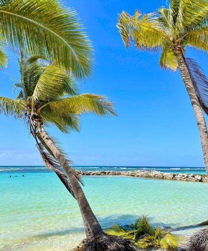two palm trees on a beach with the ocean at Studio Karaïbes in Sainte-Anne