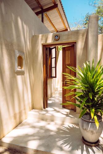 a plant in a pot sitting in front of a building at Monkey Suites in Diani Beach