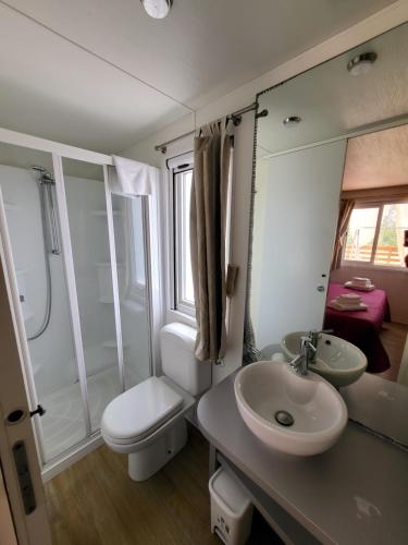 a bathroom with a sink and a toilet and a shower at VioVillas Agriturismo Glamping Arezzo in Arezzo
