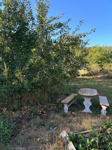 Κήπος έξω από το Charmant chalet sur terrain arboré