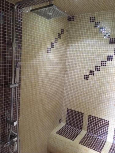 La salle de bains est pourvue d'une douche avec du carrelage noir et blanc. dans l'établissement House with hammam between city and circuit, au Mans