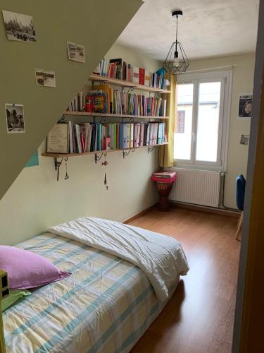 - une chambre avec un lit et des étagères avec des livres dans l'établissement House with hammam between city and circuit, au Mans