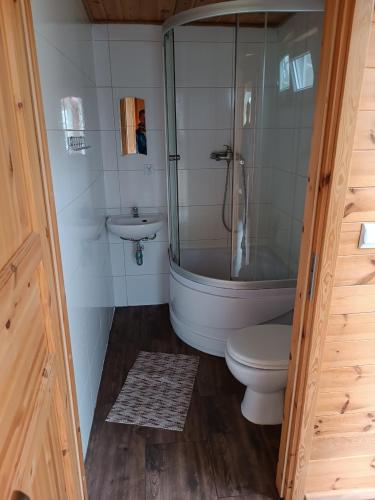 a bathroom with a shower and a toilet and a sink at Domki Sosnowa dolina We wielu in Wiele