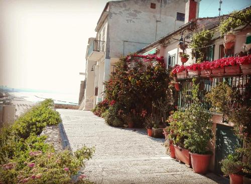 a street with potted plants on the side of a building at Locanda San Giorgio in Termoli