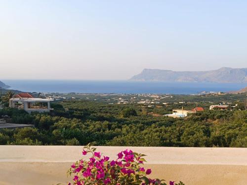 a view of the ocean from a hill with flowers at Evans Villas in Gramvousá