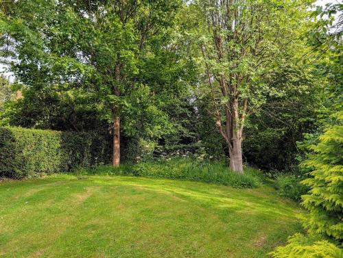 a grassy yard with trees in the background at The Piggery, located at the foot of the Malvern's in Mathon