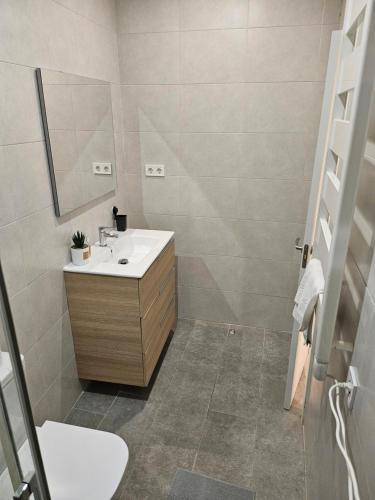un baño con lavabo y espejo en Hogar en Lavapies 11, en Madrid