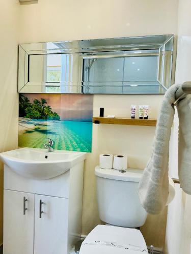 a bathroom with a toilet and a sink and a window at Vernon Guesthouse in Eastbourne