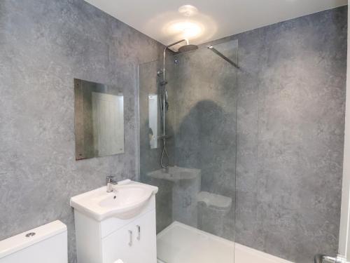 a bathroom with a shower and a toilet and a sink at Glenholme Apartment 3 in Redcar