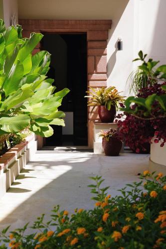 an entrance to a building with potted plants at Gerthrudes Bed & Breakfast in Rio de Janeiro