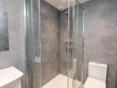 a bathroom with a shower and a toilet and a sink at Glenholme Apartment 6 in Redcar