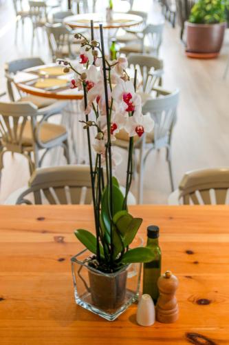 a vase with flowers in it on a table at Duvabitat Apartments in Port de Pollensa