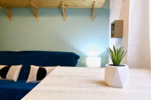 une plante posée sur une table avec un canapé bleu dans l'établissement Superbe studio pied dans l'eau, à La Seyne-sur-Mer
