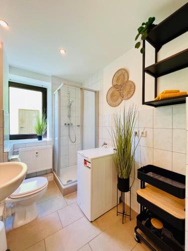 a bathroom with a toilet and a shower and a sink at Makro Apartment Großenhain in Großenhain