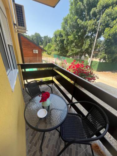 Gallery image of Apartman Sreckovic in Gunjica