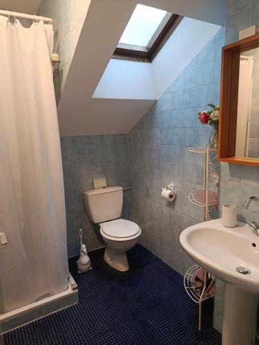 une salle de bain avec toilettes et lavabo dans l'établissement La Bretagne de Lila, à Lanester