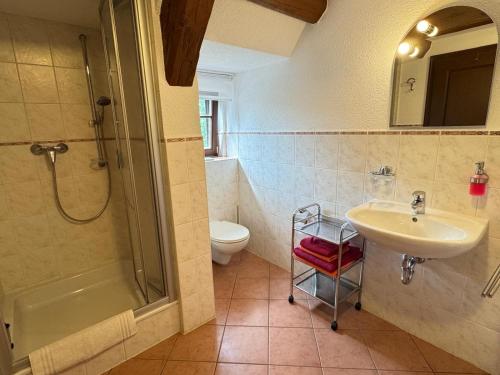 Koupelna v ubytování Landhaus Sorgenfrei