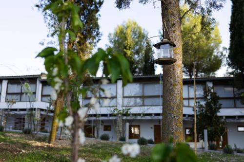 a bird feeder on a tree in front of a building at Cazorla Estelar in Cazorla