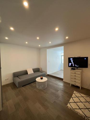 un salon avec un canapé et une télévision à écran plat dans l'établissement Hyper-centre - Appartement cosy, Fibre - CLIM, à Grenoble