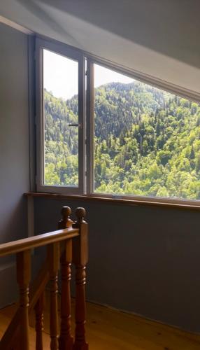ゲストハウスから撮影された、または一般的な山の景色