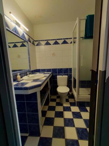 une salle de bain bleue et blanche avec des toilettes et un lavabo dans l'établissement Grand studio , proche port Bastia, à Bastia