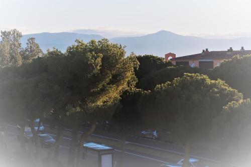 Photo de la galerie de l'établissement Charming apartment T1, à Saint Cyprien Plage