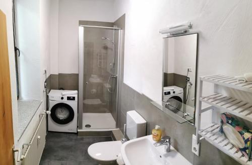 a bathroom with a shower and a toilet and a sink at Diemeltal Lodge Appartment III in Marsberg