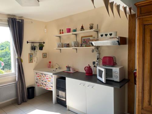 - une cuisine avec un comptoir, un four micro-ondes et un évier dans l'établissement Studio à la campagne, à Bouloire