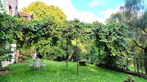 Zahrada ubytování Gîte Artéa parc arboré 2,5 ha 2 à 6 personnes 20mn des thermes de Vittel et Contrexéville
