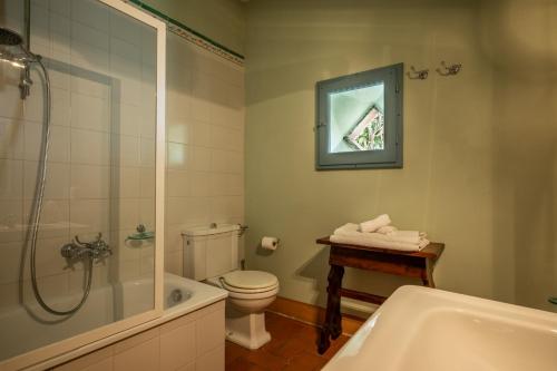 a bathroom with a toilet and a shower and a sink at Chianti Classico Wine Resort Tenuta di Bibbiano - I Sodi in Castellina in Chianti