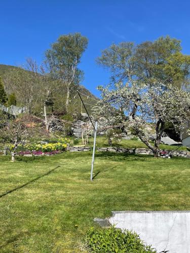 a tree in the middle of a grass field at Retro hus med fin beliggenhet in Haddal
