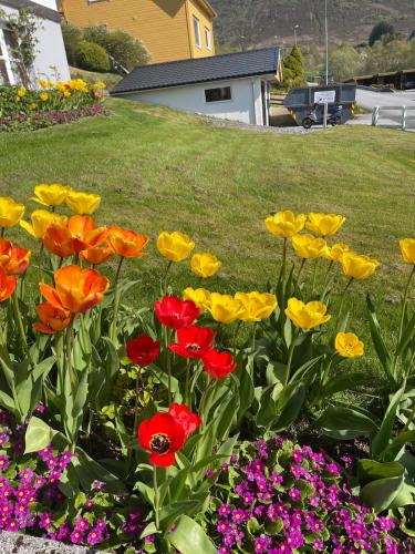 a bunch of colorful flowers in a yard at Retro hus med fin beliggenhet in Haddal
