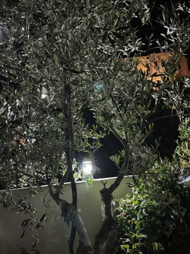Φυσικό τοπίο κοντά σε αυτό το διαμέρισμα