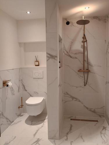 a white bathroom with a toilet and a shower at Het Haven Huysje in Hoorn