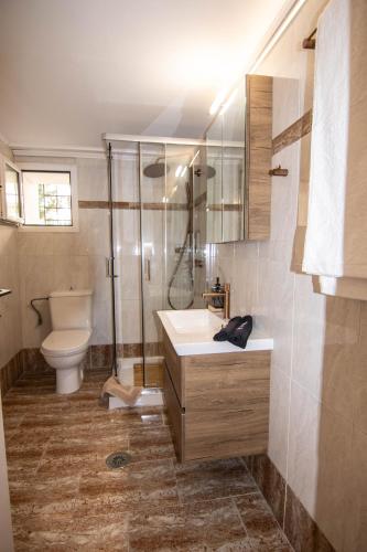 a bathroom with a sink and a shower and a toilet at Nonna Konstantina- old town center in Lefkada