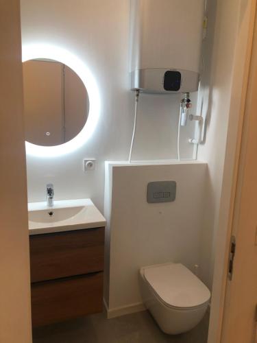 une salle de bain avec toilettes, lavabo et miroir dans l'établissement La Tronche studio climatisé wifi proche CHU, à La Tronche