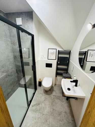 a bathroom with a shower and a toilet and a sink at Sarnówka in Karpacz