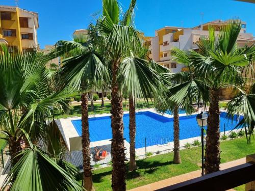 a view of a pool with palm trees and buildings at CC8 VI by ZANIS in Torrevieja