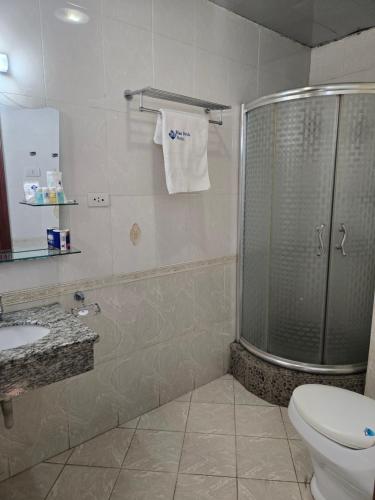 a bathroom with a shower and a toilet and a sink at Blue Birds International Hotel in Addis Ababa