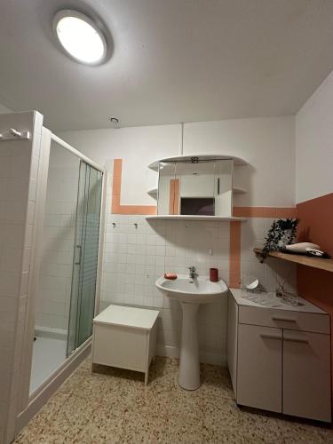 a bathroom with a sink and a shower at La Maison du Bourboul in Grospierres