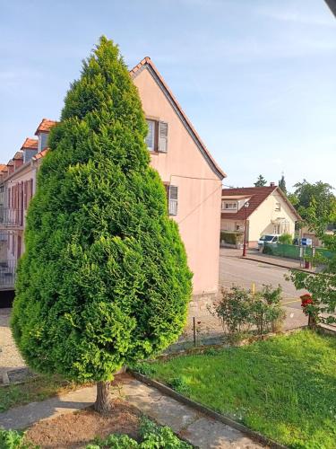 un grand arbre vert devant une maison dans l'établissement Entre sarre et albe chez stelvia, à Sarralbe