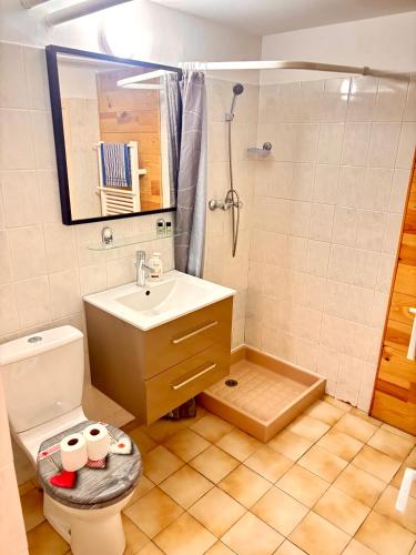 une salle de bain avec toilettes et lavabo dans l'établissement Cosy and relax, appartement privé à GAP avec Parking, à Gap