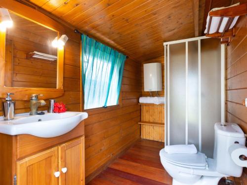 une salle de bains avec toilettes et lavabo dans l'établissement Casa el Águila The Hedonist - ES-279-1, à Icod de los Vinos