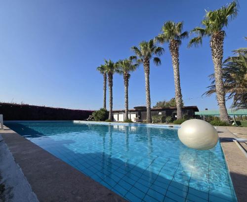 Πισίνα στο ή κοντά στο THouse Golf MarediRoma