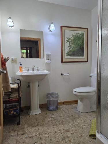 a bathroom with a sink and a toilet at Tortuga Inn in Winamac