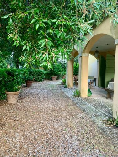 a garden with a large tree hanging over a walkway at Dimora Umbra al civico 65 in Campello sul Clitunno