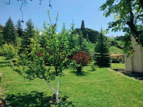 Jardín al aire libre en Vardisubani Villa